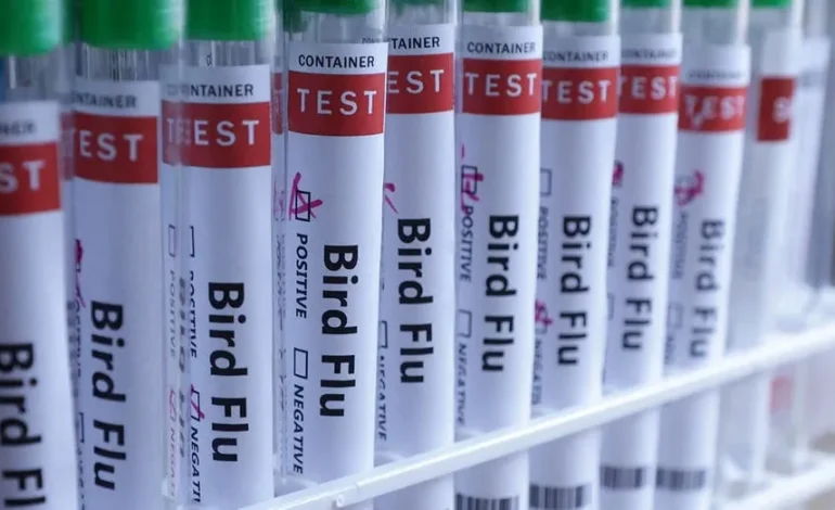 H5N1 Bird Flu Reaches Australia, Completing Global Spread