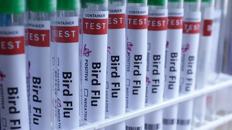 H5N1 Bird Flu Reaches Australia, Completing Global Spread