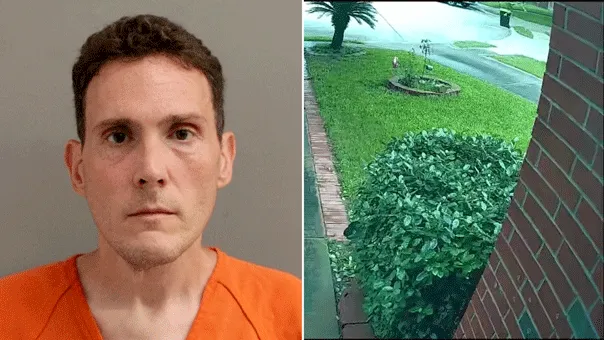 Tesla Crash Kills Grandmother; Driver Charged with Manslaughter