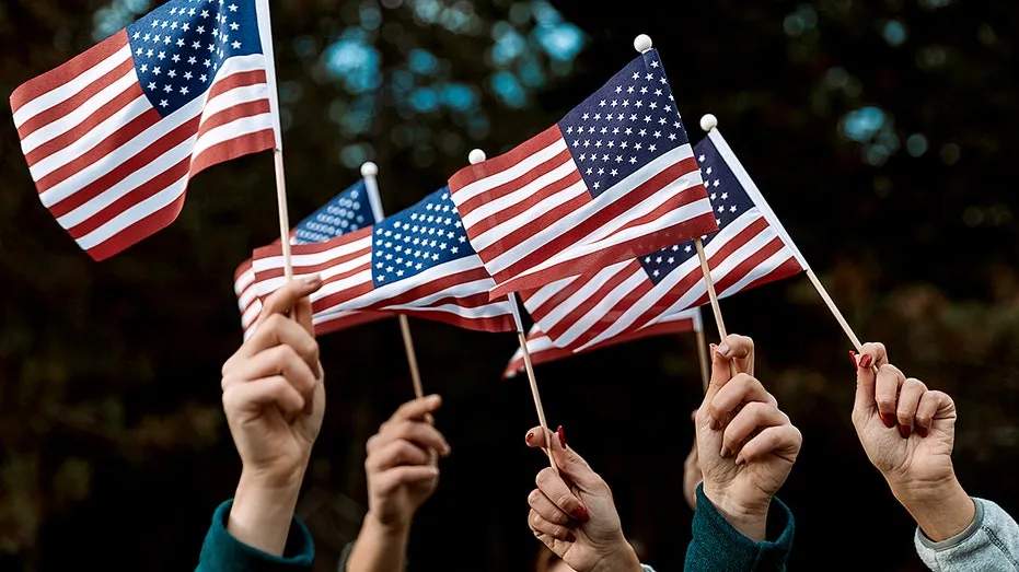 Immigrant Entrepreneur Calls Birth Tourism an Insult to Legal Immigration