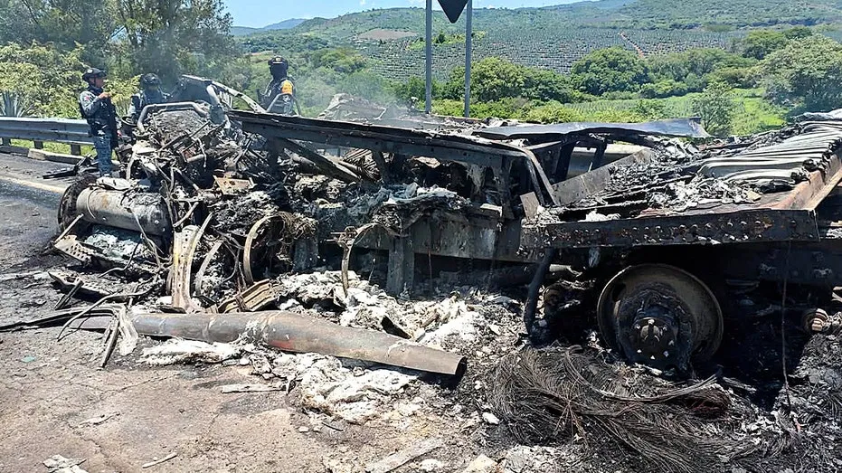 Americans Injured in Fiery Mexico Highway Pileup