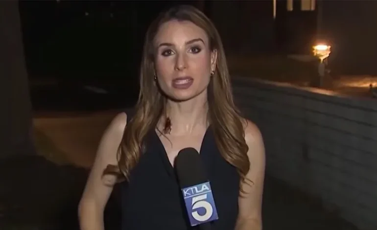 Reporter’s Cool Head Amidst Cockroach Crawl Goes Viral