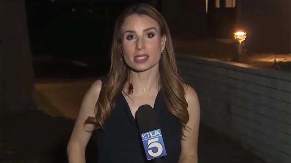 Reporter’s Cool Head Amidst Cockroach Crawl Goes Viral