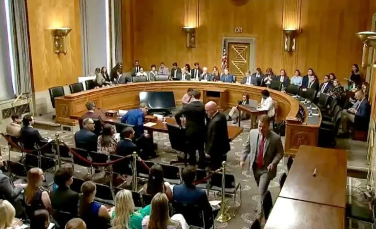 Democrats Skip Senate Hearing on Fraud, Sparking GOP Accusations