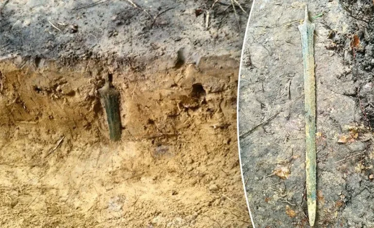 Ancient Bronze Sword Found Standing Upright in Polish Forest