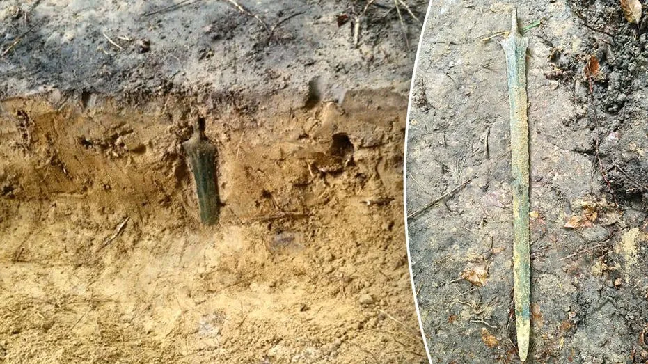 Ancient Bronze Sword Found Standing Upright in Polish Forest