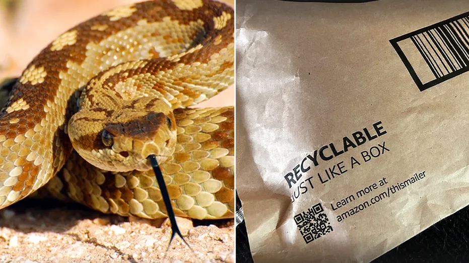 Toddler Bitten by Rattlesnake Under Amazon Package in California
