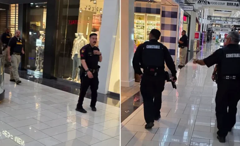 Texas Mall Shooting: One Injured, One Detained at Deerbrook Mall
