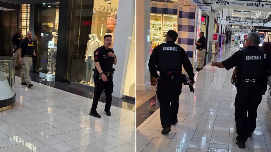 Texas Mall Shooting: One Injured, One Detained at Deerbrook Mall