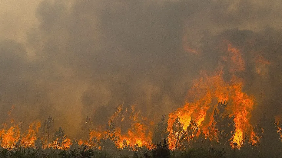 French Wildfires Threaten Missile Plants Amid Looming Heatwave