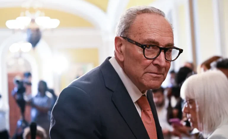 Democrats’ Ideological Battles Intensify in Key Primaries