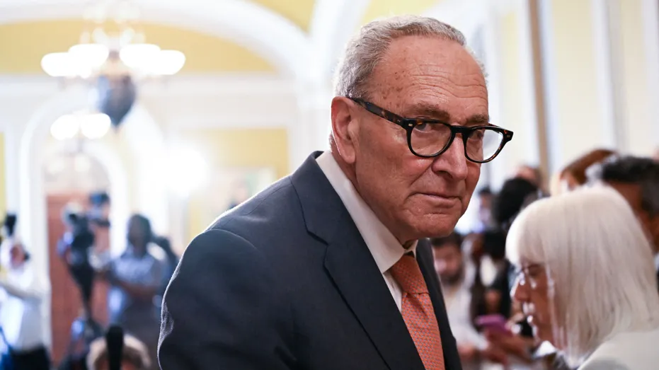 Democrats’ Ideological Battles Intensify in Key Primaries