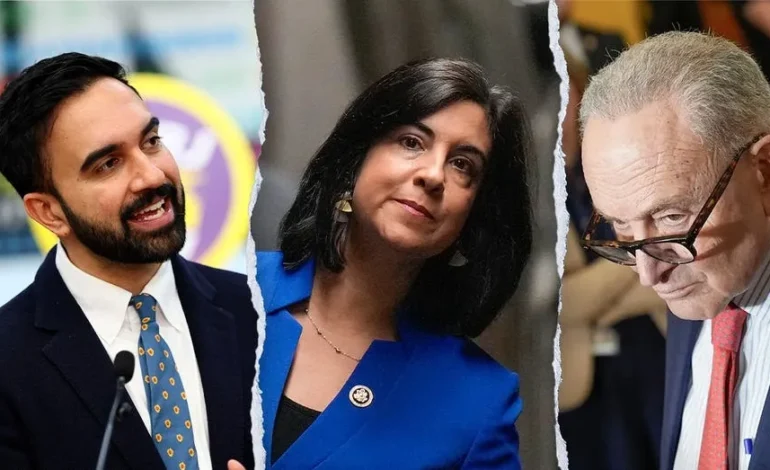 GOP Rep. Malliotakis Slams NYC Officials on Voter ID ‘Hypocrisy’