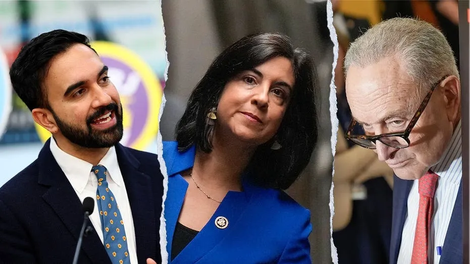 GOP Rep. Malliotakis Slams NYC Officials on Voter ID ‘Hypocrisy’