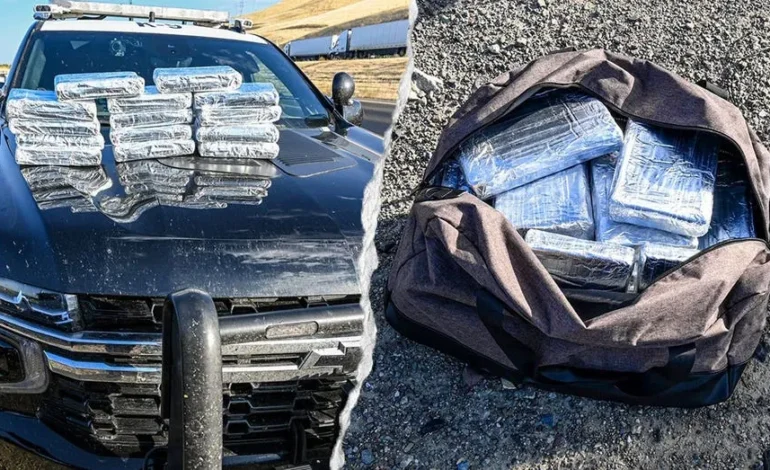 California Traffic Stop Uncovers $800K in Cocaine