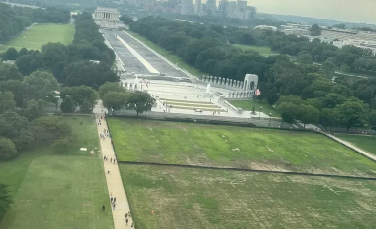 Trump Points Finger at Vandals for Dead Grass on National Mall