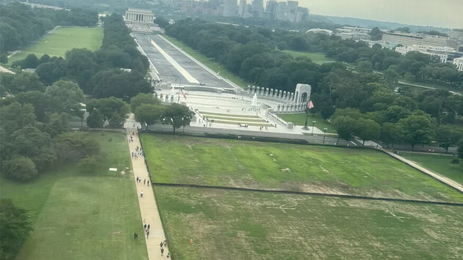 Trump Points Finger at Vandals for Dead Grass on National Mall