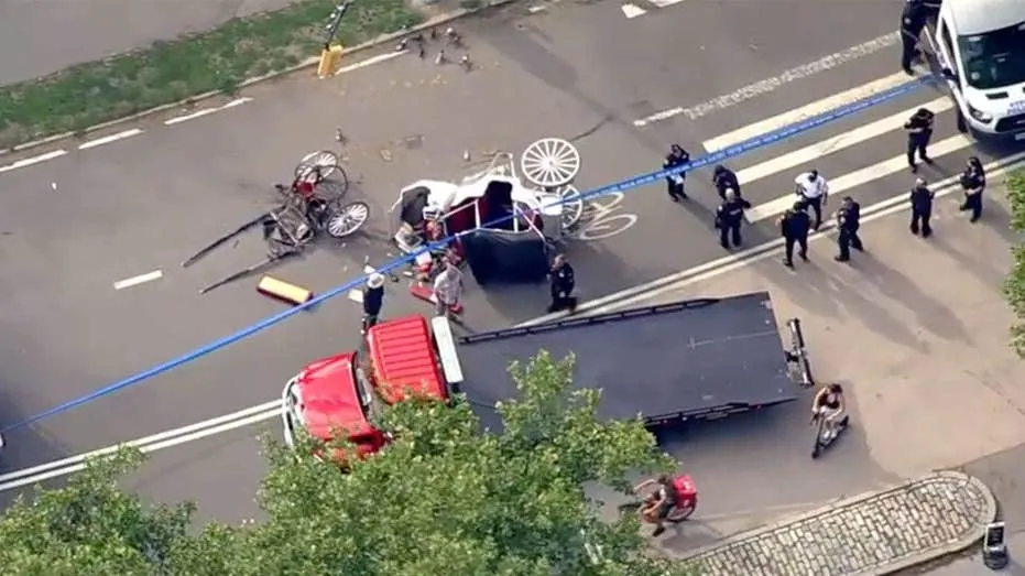 Family Seeks $105M After Teen’s Fatal Central Park Carriage Ride