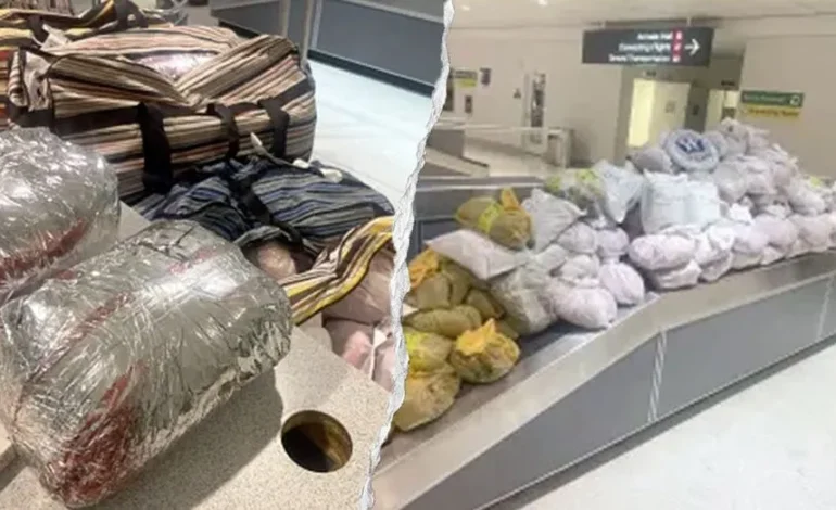 Nearly 850 Pounds of Khat Seized from London Flight at BWI