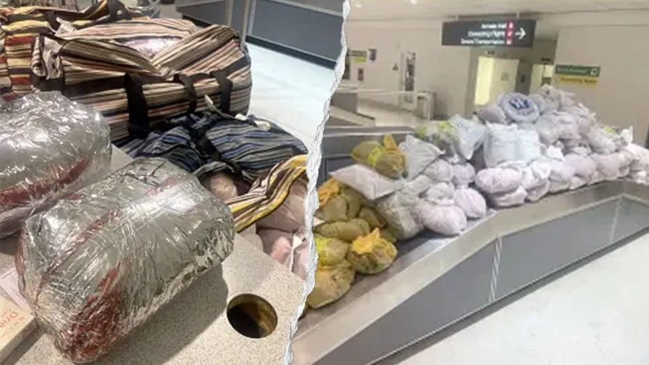 Nearly 850 Pounds of Khat Seized from London Flight at BWI
