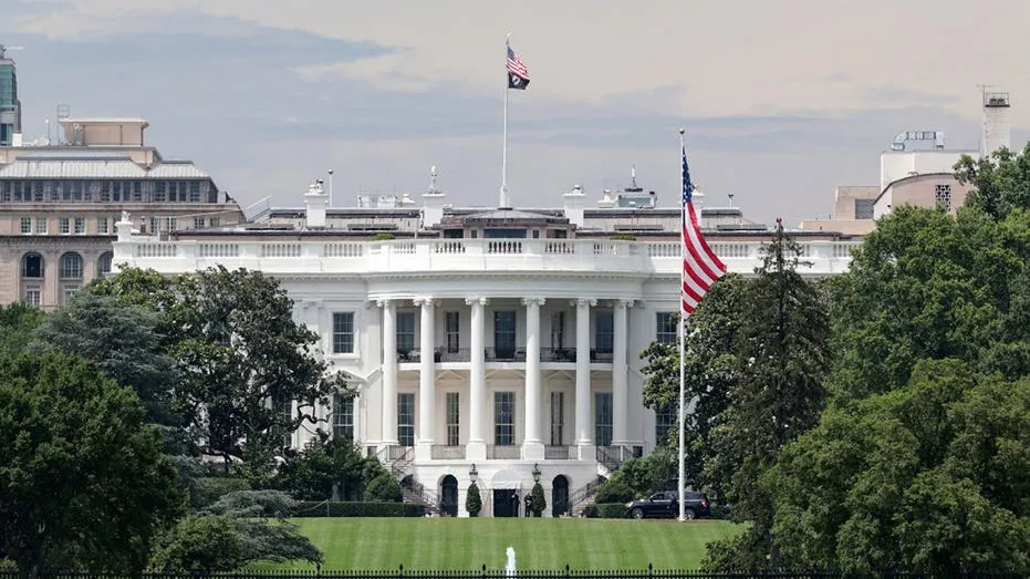 US Firms Tapped for Covert Cyber Operations Against Foreign Criminals