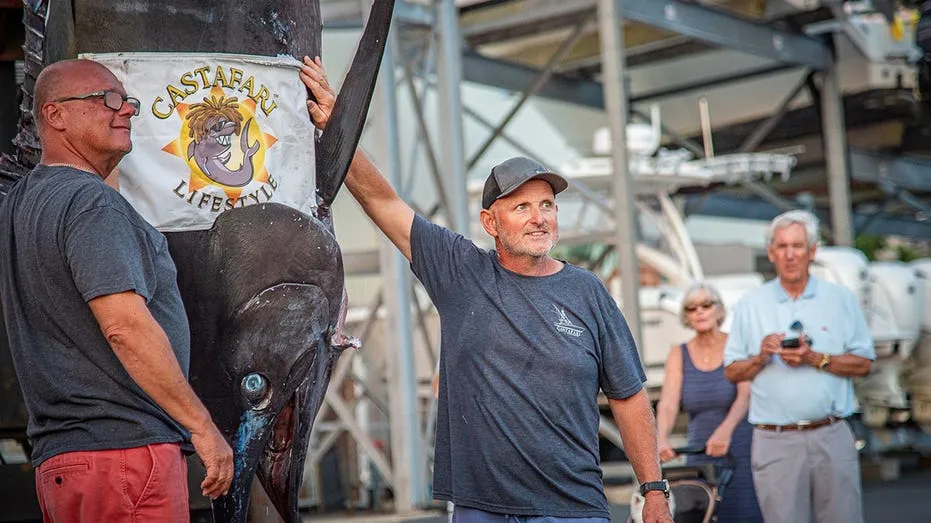 Massachusetts Fishermen Land Giant Blue Marlin, Nearing World Record