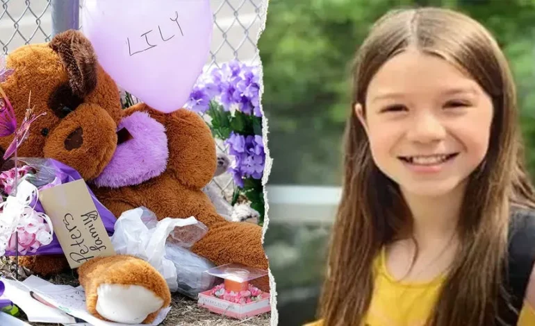 Wisconsin Teen Sentenced to Life for Killing 10-Year-Old Cousin Lily Peters