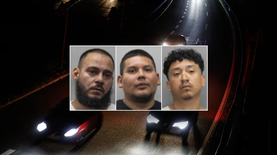 3 Men in Virginia Child Exploitation Sting Released on Bond