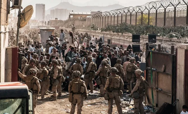 Abbey Gate Survivor Recounts Chaos, Calls Evacuation Botched